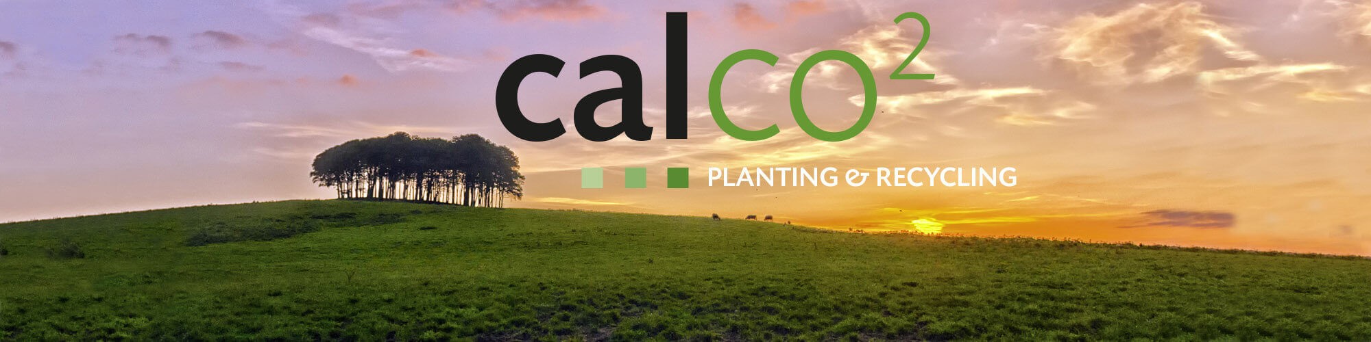 Calco2 Calco paper - Calco2